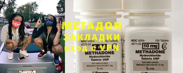 прущие грибы Заволжск