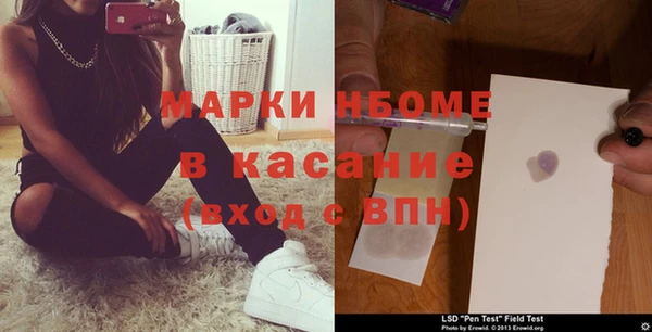 прущие грибы Заволжск