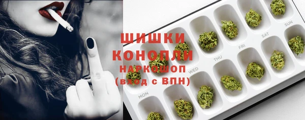 ПСИЛОЦИБИНОВЫЕ ГРИБЫ Заводоуковск