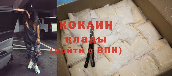 ПСИЛОЦИБИНОВЫЕ ГРИБЫ Заводоуковск