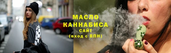 крисы Елабуга