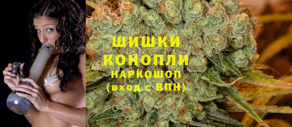 ПСИЛОЦИБИНОВЫЕ ГРИБЫ Заводоуковск
