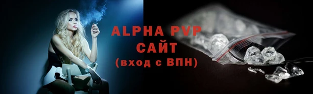 прущие грибы Заволжск