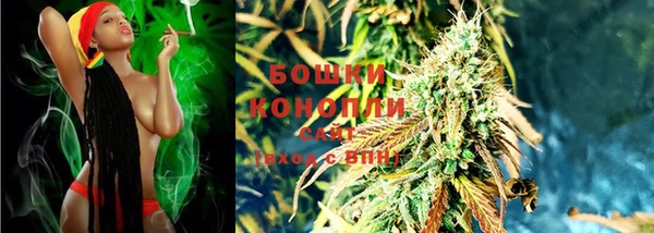 прущие грибы Заволжск