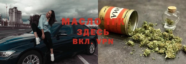 крисы Елабуга